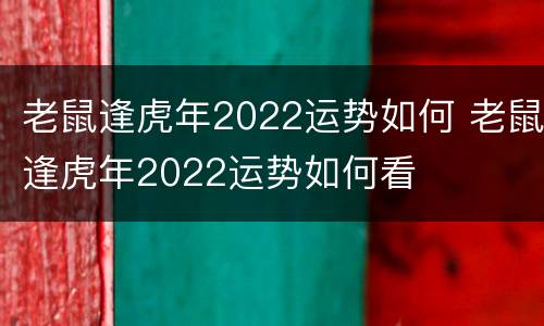 老鼠逢虎年2022运势如何 老鼠逢虎年2022运势如何看