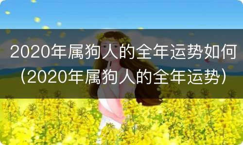 2020年属狗人的全年运势如何（2020年属狗人的全年运势）