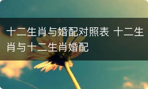十二生肖与婚配对照表 十二生肖与十二生肖婚配