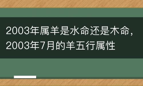 2003年属羊是水命还是木命，2003年7月的羊五行属性