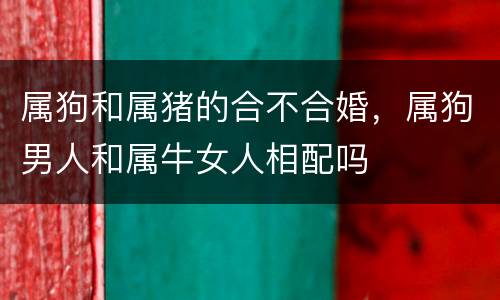 属狗和属猪的合不合婚，属狗男人和属牛女人相配吗