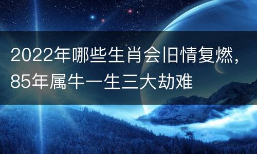 2022年哪些生肖会旧情复燃，85年属牛一生三大劫难