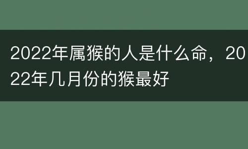 2022年属猴的人是什么命，2022年几月份的猴最好