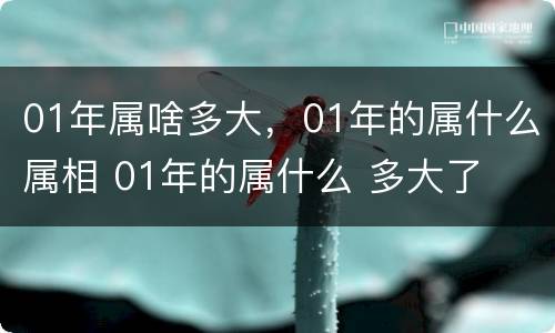 01年属啥多大，01年的属什么属相 01年的属什么 多大了