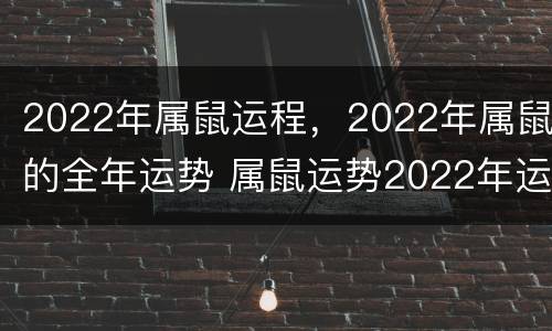 2022年属鼠运程，2022年属鼠的全年运势 属鼠运势2022年运势详解