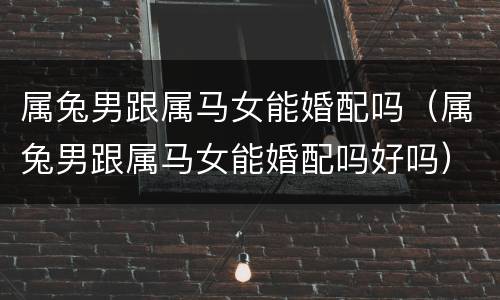 属兔男跟属马女能婚配吗（属兔男跟属马女能婚配吗好吗）