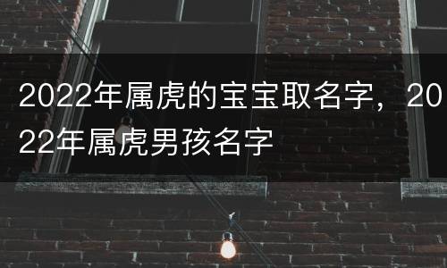 2022年属虎的宝宝取名字，2022年属虎男孩名字