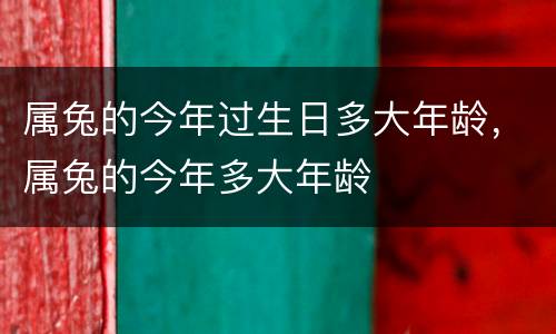 属兔的今年过生日多大年龄，属兔的今年多大年龄