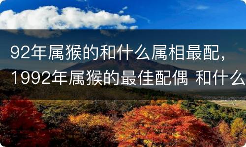 92年属猴的和什么属相最配，1992年属猴的最佳配偶 和什么