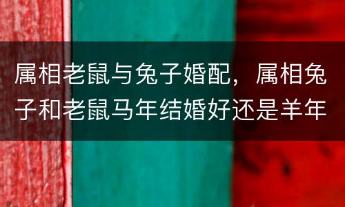属相老鼠与兔子婚配，属相兔子和老鼠马年结婚好还是羊年结婚好？