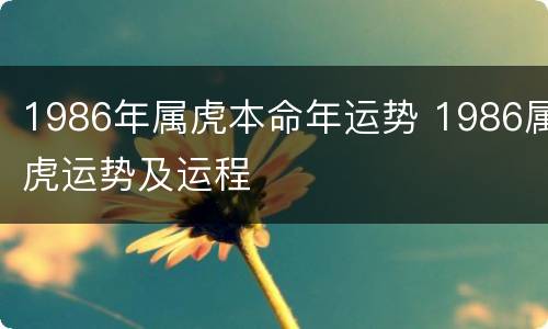 1986年属虎本命年运势 1986属虎运势及运程