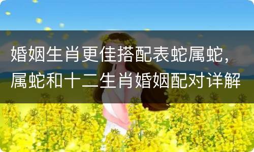 婚姻生肖更佳搭配表蛇属蛇，属蛇和十二生肖婚姻配对详解