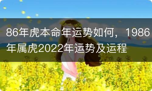 86年虎本命年运势如何，1986年属虎2022年运势及运程