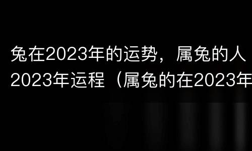 兔在2023年的运势，属兔的人2023年运程（属兔的在2023年的运势怎么样 全年）