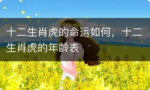 十二生肖虎的命运如何，十二生肖虎的年龄表
