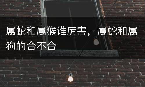 属蛇和属猴谁厉害，属蛇和属狗的合不合