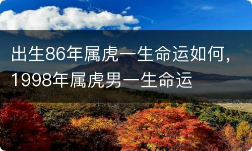 出生86年属虎一生命运如何，1998年属虎男一生命运