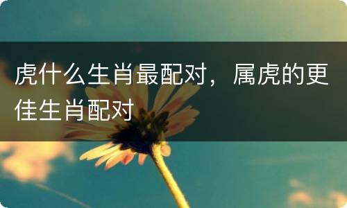 虎什么生肖最配对，属虎的更佳生肖配对