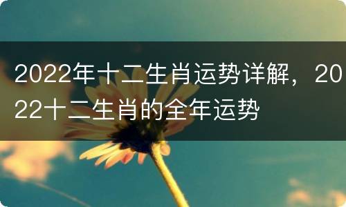 2022年十二生肖运势详解，2022十二生肖的全年运势