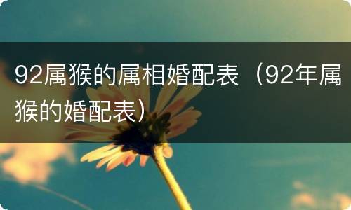 92属猴的属相婚配表（92年属猴的婚配表）