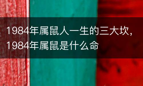 1984年属鼠人一生的三大坎，1984年属鼠是什么命