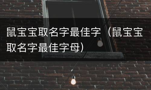 鼠宝宝取名字最佳字（鼠宝宝取名字最佳字母）