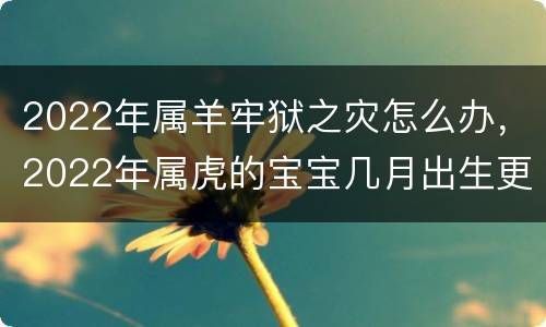 2022年属羊牢狱之灾怎么办，2022年属虎的宝宝几月出生更好
