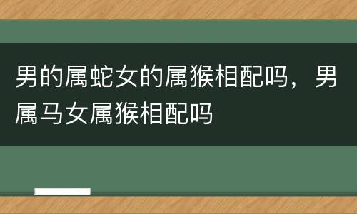 男的属蛇女的属猴相配吗，男属马女属猴相配吗