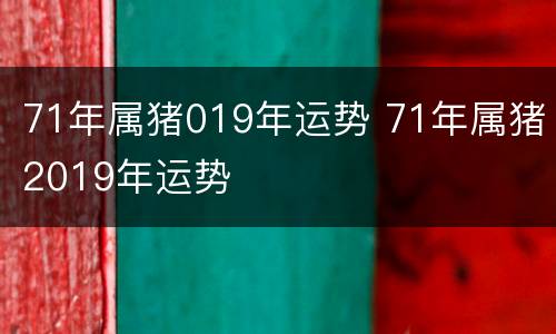 71年属猪019年运势 71年属猪2019年运势