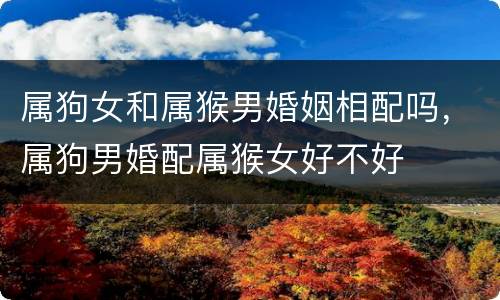 属狗女和属猴男婚姻相配吗，属狗男婚配属猴女好不好