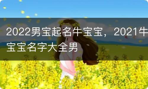2022男宝起名牛宝宝，2021牛宝宝名字大全男