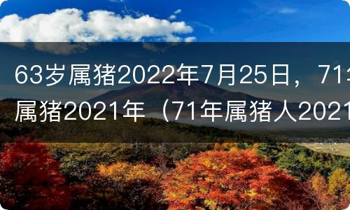 63岁属猪2022年7月25日，71年属猪2021年（71年属猪人2021年运程）