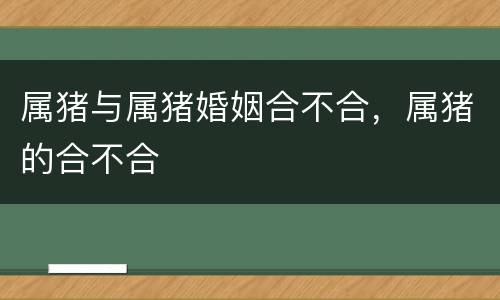 属猪与属猪婚姻合不合，属猪的合不合