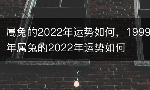 属兔的2022年运势如何，1999年属兔的2022年运势如何