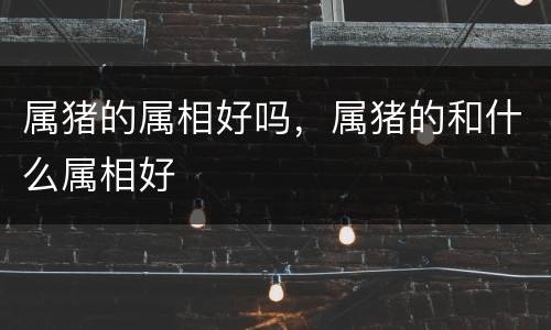 属猪的属相好吗，属猪的和什么属相好