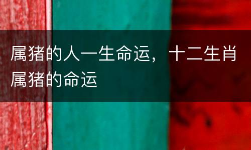 属猪的人一生命运，十二生肖属猪的命运