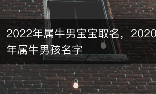 2022年属牛男宝宝取名，2020年属牛男孩名字
