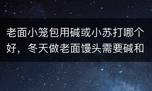 老面小笼包用碱或小苏打哪个好，冬天做老面馒头需要碱和苏打都放吗？