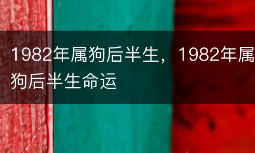 1982年属狗后半生，1982年属狗后半生命运