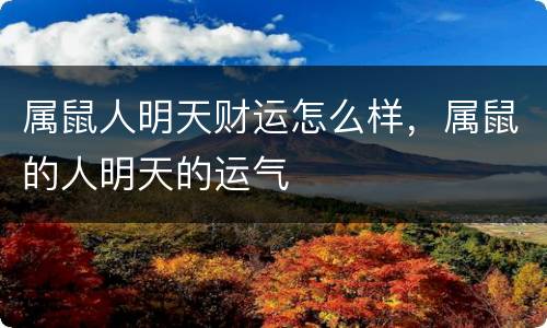 属鼠人明天财运怎么样，属鼠的人明天的运气