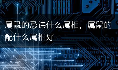 属鼠的忌讳什么属相，属鼠的配什么属相好