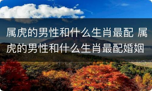 属虎的男性和什么生肖最配 属虎的男性和什么生肖最配婚姻