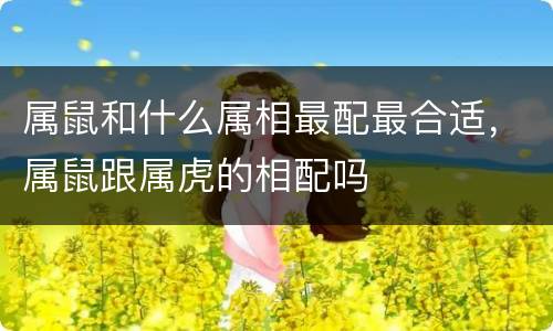 属鼠和什么属相最配最合适，属鼠跟属虎的相配吗