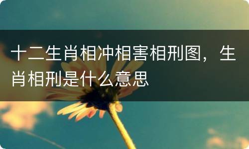 十二生肖相冲相害相刑图，生肖相刑是什么意思