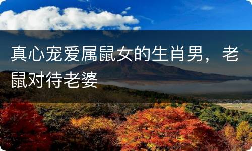 真心宠爱属鼠女的生肖男，老鼠对待老婆