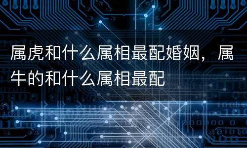 属虎和什么属相最配婚姻，属牛的和什么属相最配
