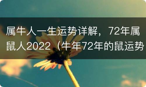 属牛人一生运势详解，72年属鼠人2022（牛年72年的鼠运势好不好2021年）