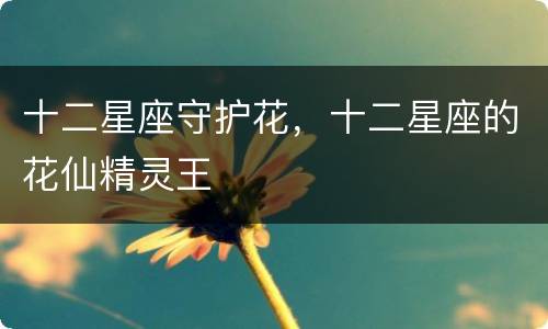 十二星座守护花，十二星座的花仙精灵王