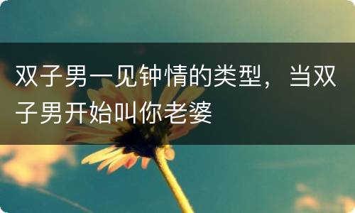 双子男一见钟情的类型，当双子男开始叫你老婆