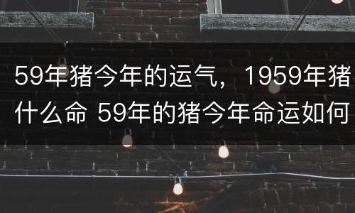 59年猪今年的运气，1959年猪什么命 59年的猪今年命运如何